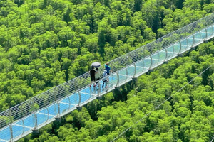 Crouching Tiger Bamboo Forest & White Tea Trip