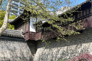 Descubre la ruta menos frecuentada: el casco antiguo de Shanghai