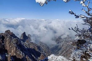 From Shanghai: Huangshan Private Day Trip by High-Speed Rail