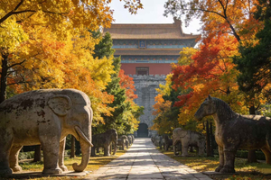 From Shanghai: Nanjing Private Day Trip by High-Speed Rail