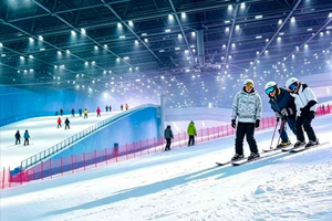 Z Szanghaju i Suzhou: wycieczka 1-dniowa do Alps Snow World z biletem