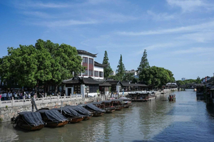 Xangai: Viagem de um dia à Antiga Rua Lucun e à Cidade das Águas de Jiangnan