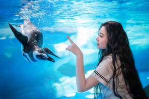 Szanghaj: bilet wstępu do oceanarium z kodem QR