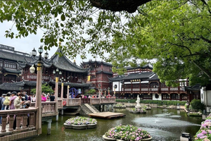 Private Lyaover: Cruising Shanghai in A Tesla