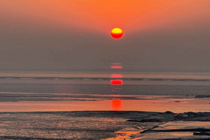 Rare Birdwatching Trip: Chongming & Tiaozini Wetlands