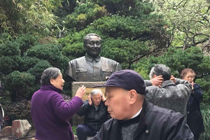 Shanghai: A Day of Immersive Suburban Life