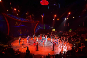Tickets für die Akrobatikshow im Shanghai Maxicheng Theatre