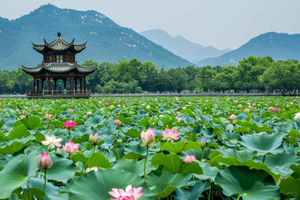 Dagstur fra Shanghai til Hangzhou: Billetter til båd og tog ved West Lake