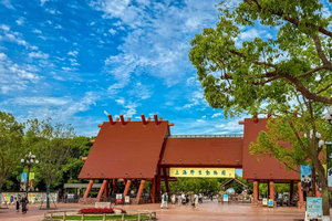 Shanghai Wildlife Park: biglietto di 1 giorno + navetta Safari gratuita