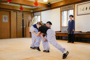 Shaolin-Selbstverteidigung mit Teepause in Shanghai