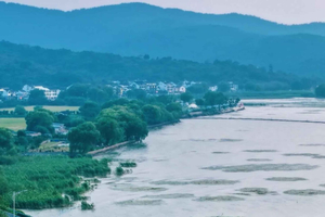 Suzhou: prywatna wycieczka 1-dniowa rowerem nad jezioro Taihu
