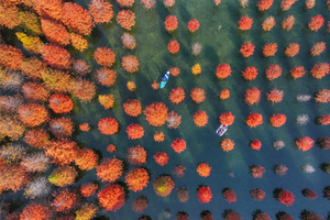 Dagstur med paddleboard i Taohuajie Water Forest
