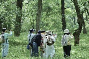 Tongzhou River Island & Fruit Picking Day Trip