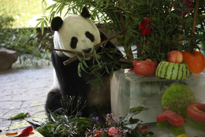 Wildlife Park, Xinchang, and Bund Private Tour