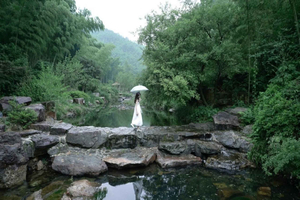 Yixing Bamboo Sea & Zisha Teapot Cultural Trip