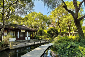 Zhujiajiao Cultural Experience: Boat Ride & Zongzi Making