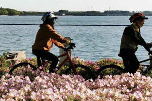 Zhujiajiao Water Town & Yuandang Lake Cycling Trip