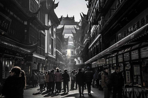 Ervaar Kersenbloesems in Shanghai