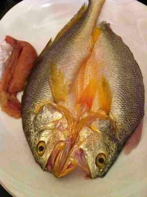 Wangbuliao Suancai Fish Restaurant