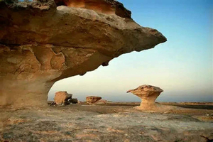 Doha: Richard Serra, Mushroom Rock, Camel Racing Track