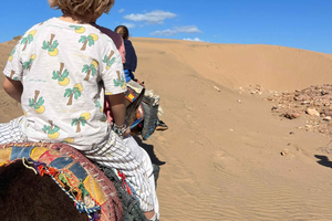 Essaouira: Sidi MBarek Waterfall & Farm Tour, Tea by the sea