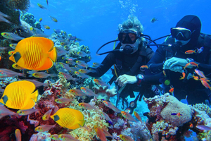From Hurghada: Scuba Diving with Expert Guide & 2 Dives
