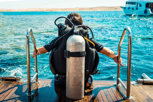 From Sharm: Luxury Diving cruise to Ras Mohammed with Lunch