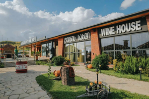 Fra Tbilisi: Privat dagstur til vinregionen Kakheti