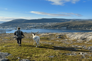 Hammerfest: rondleiding - ontmoet rendieren