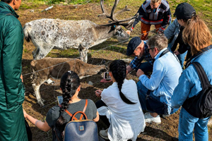 Hammerfest: Guided Tour - Meet Reindeer