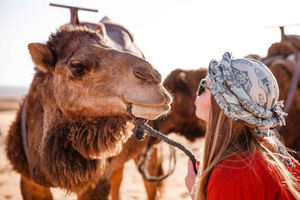 Hurghada: Beginner-Friendly Beach or Desert Camel Ride