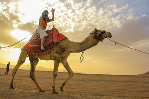 Hurghada : Balade à dos de chameau, balade à cheval et excursion en jeep tout-terrain