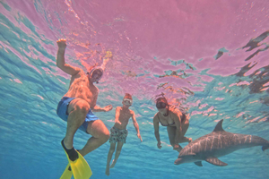 Hurgada: excursión en lancha motora a Dolphin House y baño con delfines