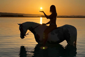 Hurghada: Horse Ride & Swim—Couples & Families with Transfer