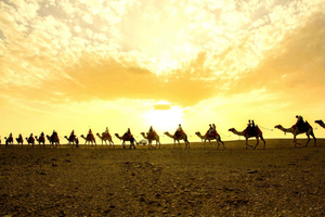 Hurghada: zonsondergang in de oase met kamelenrit & sterren