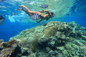 Hurghada : Orange Bay + aventure en parachute ascensionnel, snorkeling et déjeuner
