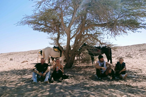 Hurghada: Sunset Oasis Safari with Horse Ride & Stargazing