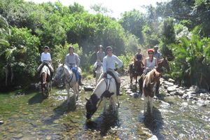 Kemer: Scenic Horseback Riding Tour with Pickup