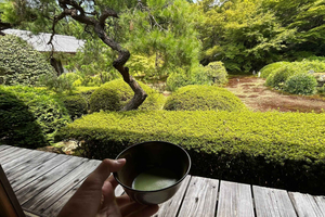 Kyoto: Shakyo & Matcha in Historic Temple Garden