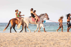Mahdia: Beach Horse Riding Adventure with Hotel Pickup