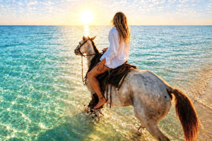 Makadi Bay Horse Riding With Optional Stargazing, BBQ & Show