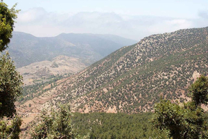 Marrakech: escursione guidata alla cima del Tasghimout (2.650 m) sull'Atlante