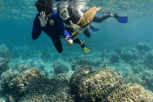Muscat:Daymaniyat Islands Boat Tour with Snorkeling & Brunch
