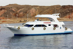 Private Boat Trip Snorkeling & Diving