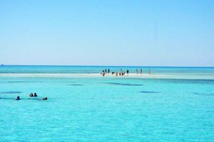 Ras Mohamed Cruise with Snorkeling & Lunch
