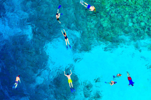 tour di snorkeling a Ras Mohammed e White Island