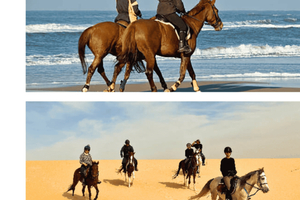 Ride the Spirit of Arabia: A Desert Horse‑Riding Experience