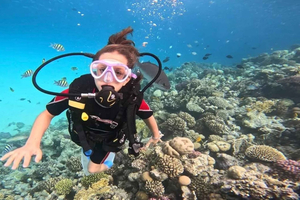 Sahl Hasheesh Elite Beach Dive & Coral Reef Experience