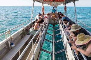 Sharm El-Sheik: Coral Reef Glass-Bottom Boat Tour