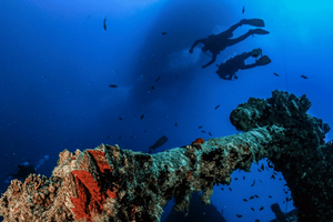 Sharm El-Sheikh: Beach Day & Intro Scuba Diving